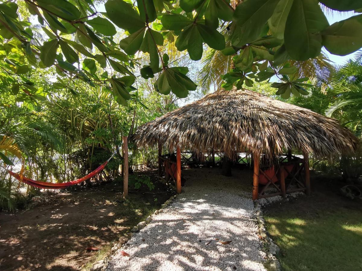 Tropical Villas At Los Corales Beach - Caribbean Rentals Fzco Punta Cana Extérieur photo
